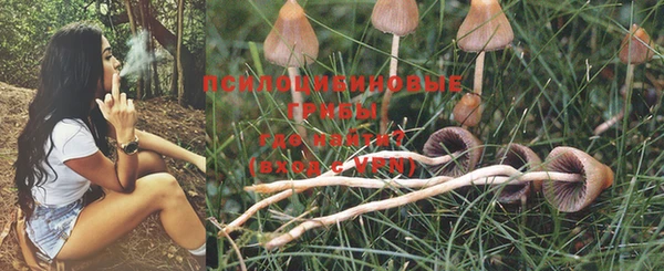 прущая мука Бородино